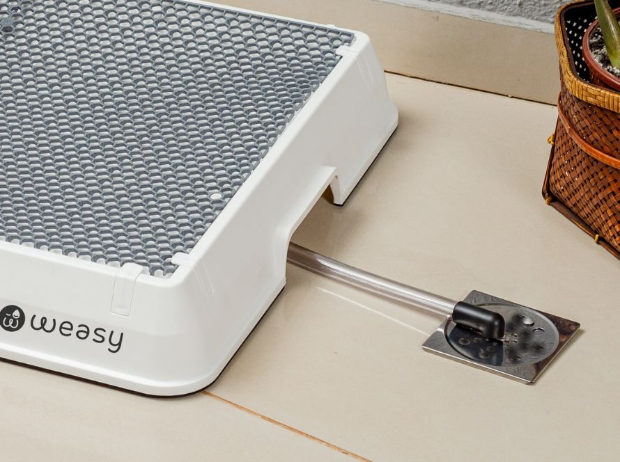Imagem do Weasy Cão com o xixi indo direto para o ralo